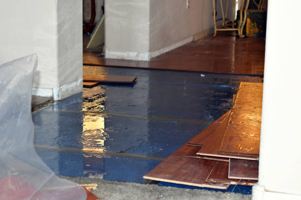 Professional Flood Cleanup technician working in Highland, NY